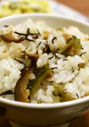 ゴーヤとひじきのオイスター混ぜご飯-レシピのメイン写真
