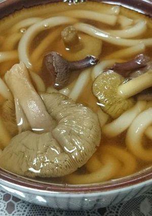 初茸、アミタケ、シモコシ・贅沢うどん-レシピのメイン写真
