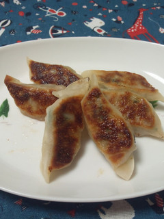 ヘルシー餃子-レシピのメイン写真