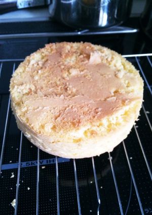 スポンジケーキ-レシピのメイン写真