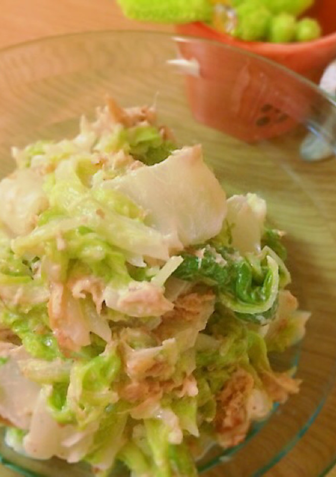 抱えてたべちゃうよ！白菜サラダ-レシピのメイン写真
