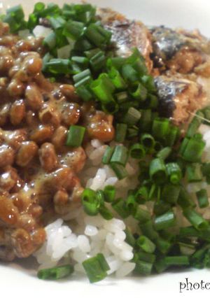 クイック!猫飯だにゃー^^-レシピのメイン写真