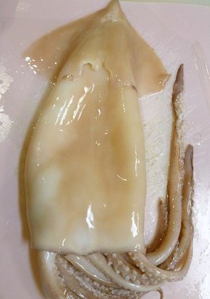初心者向き♪イカの下処理-レシピのメイン写真