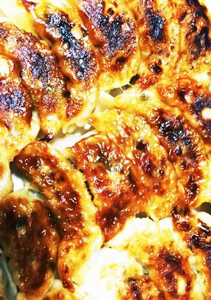 【基本レシピ】白菜にら豚餃子-レシピのメイン写真