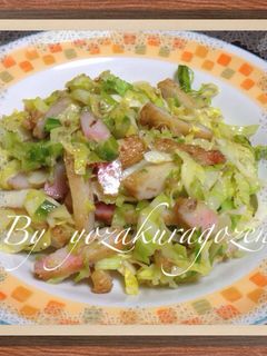 ☆キャベツで簡単おかず☆-レシピのメイン写真