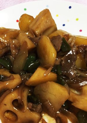 豚肉とレンコン、野菜炒め-レシピのメイン写真