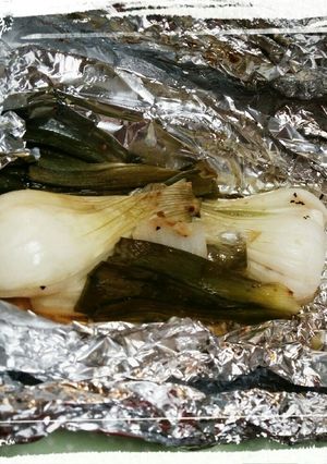 葉玉ねぎのグリル-レシピのメイン写真
