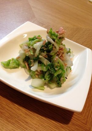 簡単☆白菜とツナだけ ヘルシーサラダ-レシピのメイン写真