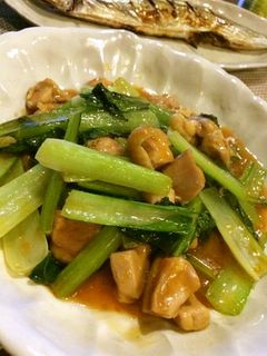 小松菜と鶏肉のピリ辛豆板醤炒め-レシピのメイン写真