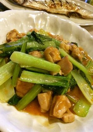 小松菜と鶏肉のピリ辛豆板醤炒め-レシピのメイン写真