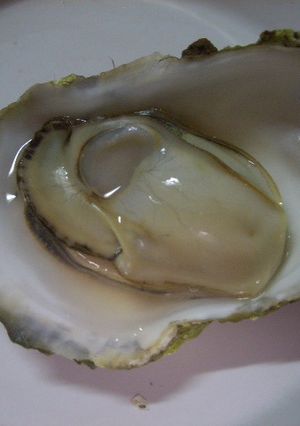 殻付き牡蠣の簡単料理方　その1-レシピのメイン写真