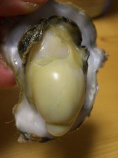 殻付き牡蠣の簡単料理方 その2-レシピのメイン写真