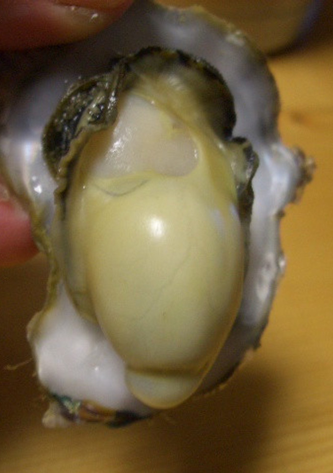 殻付き牡蠣の簡単料理方　その2-レシピのメイン写真