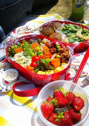 彩り豊かな行楽弁当♥行楽弁当にピッタシ☆-レシピのメイン写真