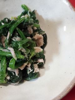 ほうれん草とツナのおひたし-レシピのメイン写真
