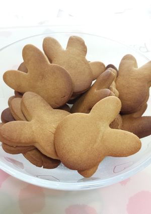 小麦粉・蜂蜜・油だけで手作りクッキー-レシピのメイン写真