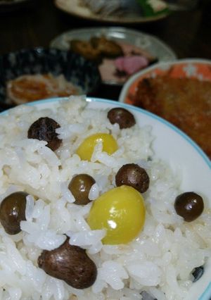 ♥山の幸❗むかごと銀杏の炊き込みご飯♥-レシピのメイン写真