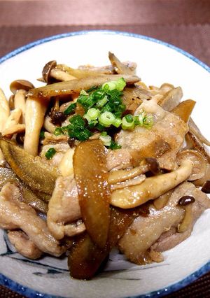 胃袋鷲掴み！！豚とごぼうときのこの丼⁂-レシピのメイン写真