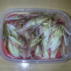 รูปของ トマトを食べよう☆