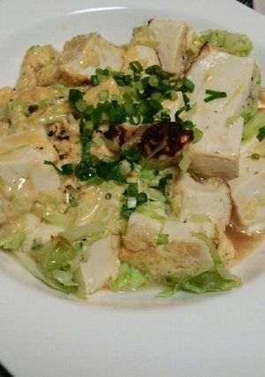 豆腐鉄板☆-レシピのメイン写真