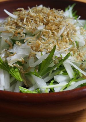 旬をいただく〈11月〉大根と水菜のサラダ-レシピのメイン写真