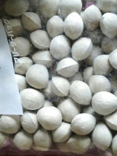 大量の銀杏を美味しいまま保存する方法-レシピのメイン写真
