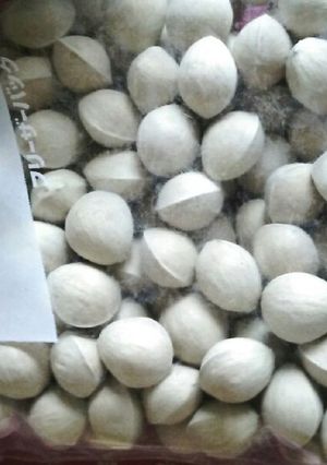 大量の銀杏を美味しいまま保存する方法-レシピのメイン写真