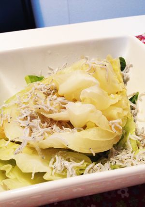 しらすのヘルシーキャベツ蒸し-レシピのメイン写真