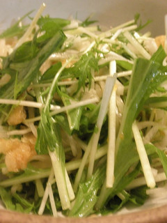 大根と水菜のサラダ-レシピのメイン写真