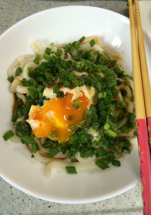 さっぱり冷やうどん-レシピのメイン写真