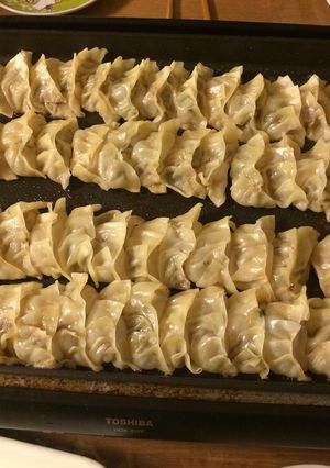 ホットプレートで餃子-レシピのメイン写真