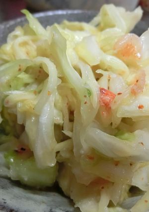 塩麹でキムチ風-レシピのメイン写真