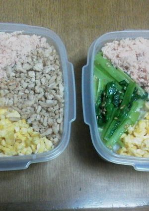 お弁当に♪３色丼？４色丼？-レシピのメイン写真