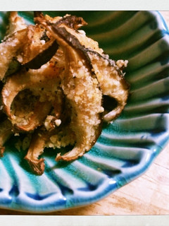 おつまみ♪椎茸の粉チーズ焼き♪-レシピのメイン写真