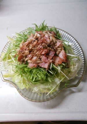 レタスと水菜とキノコのサラダです。-レシピのメイン写真