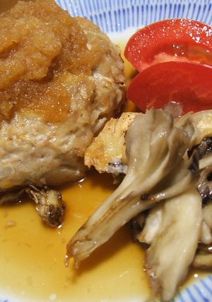ピギーさんちのかさましバーグ♪に豆腐入り-レシピのメイン写真