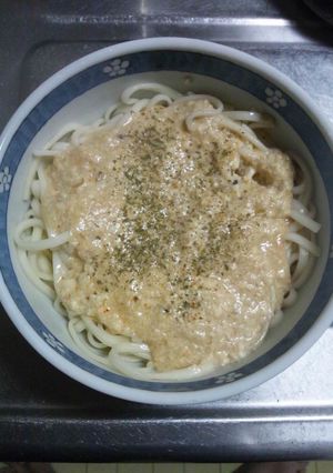 ２月１１日昼飯【塩麹豆腐うどん】-レシピのメイン写真