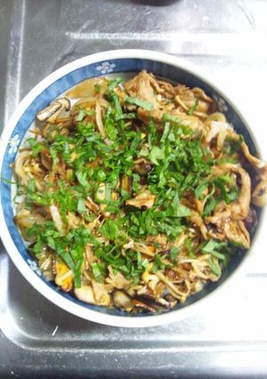 ２月２５日晩飯【しょうが焼き丼】-レシピのメイン写真