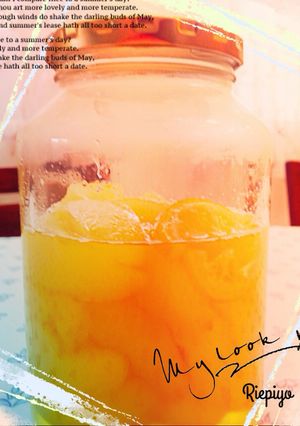 La France白色のコンポート-レシピのメイン写真