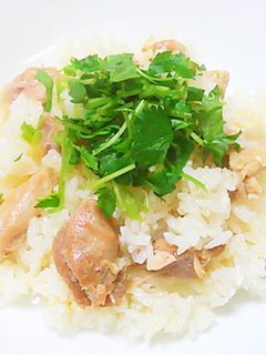 塩にんにくで~ 海南チキンライス風鶏ご飯-レシピのメイン写真