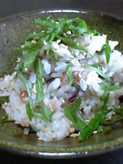 うめぇご飯-レシピのメイン写真