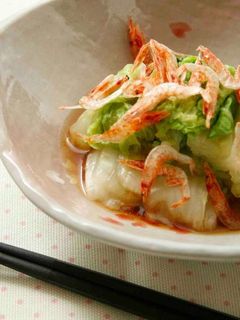 白菜の中華風おひたし-レシピのメイン写真