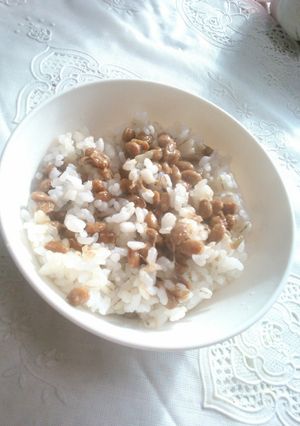 チーズおかか納豆ご飯-レシピのメイン写真