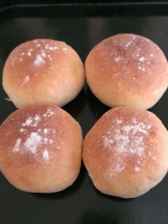 シンプルな丸パン-レシピのメイン写真