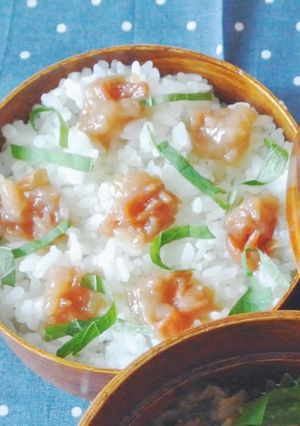 お弁当に♪蜂蜜梅干し&大葉の簡単彩りご飯-レシピのメイン写真