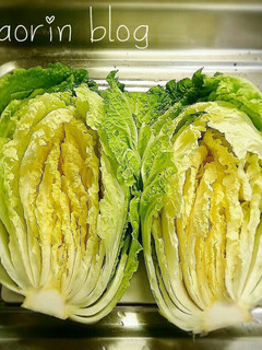 白菜の葉を傷めない切り方!-レシピのメイン写真
