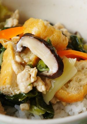 栃尾揚げ丼-レシピのメイン写真