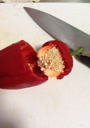 ピーマンのタネが綺麗にとれます！-レシピのメイン写真