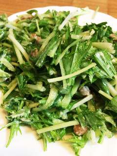 子供も大好き!水菜と納豆のサラダ-レシピのメイン写真