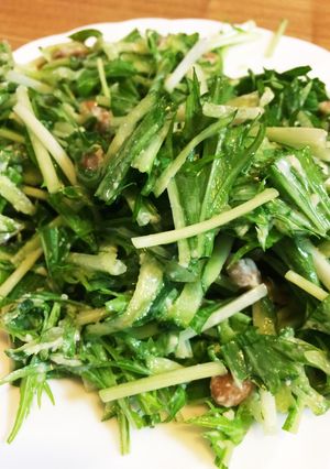 子供も大好き!水菜と納豆のサラダ-レシピのメイン写真